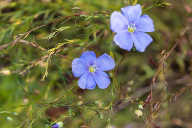 Similar image 21120356