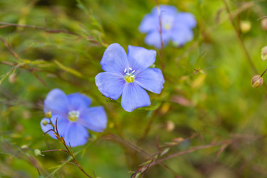 Similar image 21120358