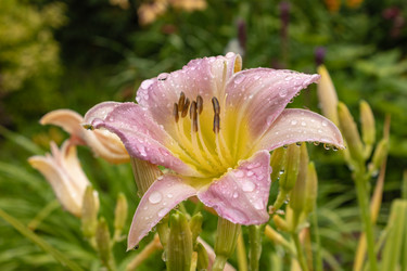 Similar image 21120359