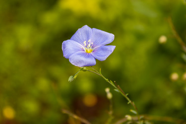 Similar image 21120360