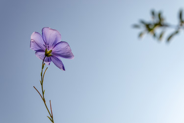 Similar image 21120361