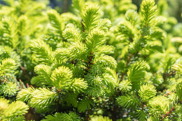 Similar image 21120364