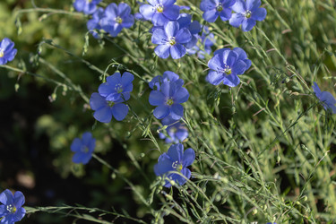 Similar image 21120368