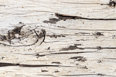 Similar image 21120369