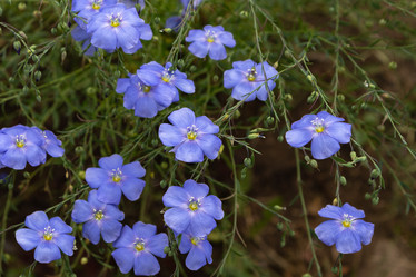 Similar image 21120375