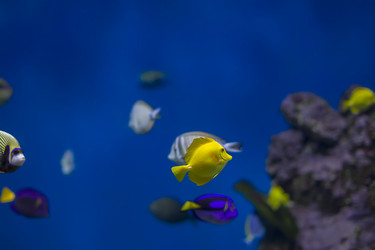 Similar image 21081605