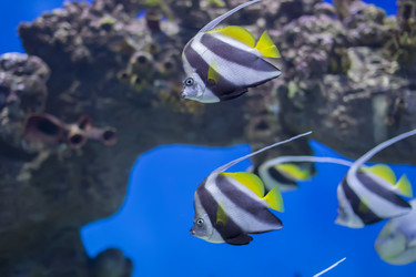 Similar image 21081606