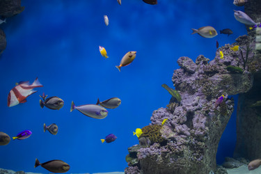 Similar image 21081620