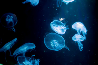 Similar image 21081622