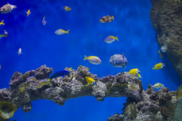 Similar image 21081632