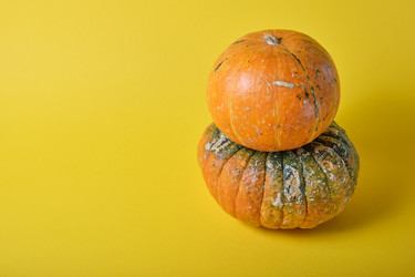 Similar image 21097999