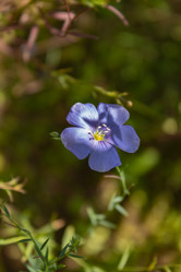 Similar image 21120377