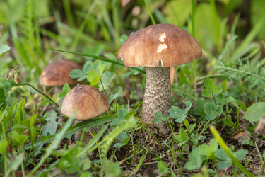 Similar image 21120378