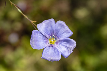 Similar image 21120379