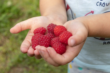 Similar image 21120380