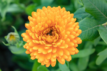 Similar image 21120382