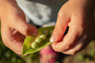 Similar image 21120383