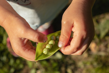 Similar image 21120384