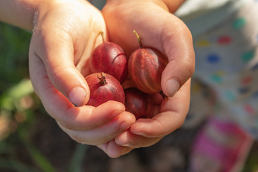 Similar image 21120385