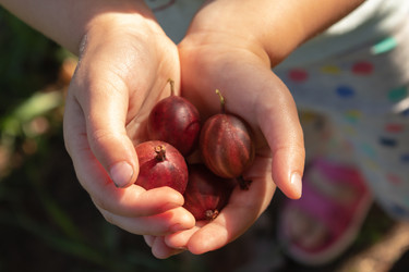 Similar image 21120386