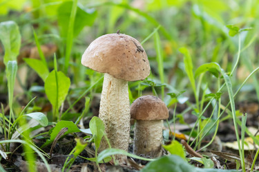 Similar image 21120387