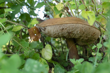 Similar image 21120388