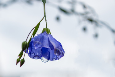 Similar image 21120390