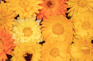 Similar image 21120391