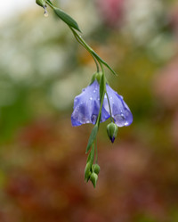 Similar image 21120392