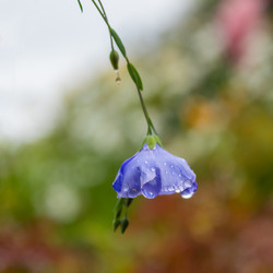 Similar image 21120393