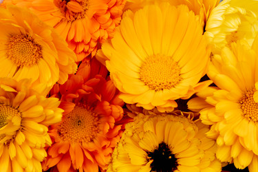 Similar image 21120395