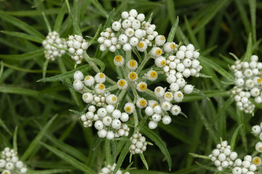 Similar image 21120397