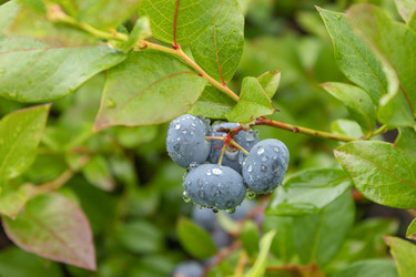 Similar image 21120398