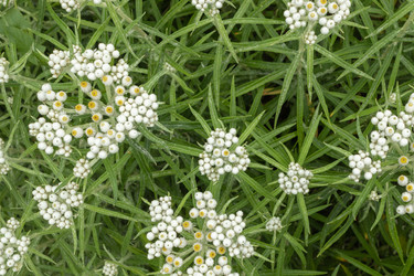 Similar image 21120399