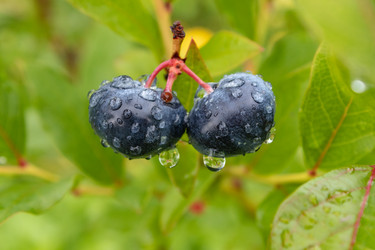 Similar image 21120400