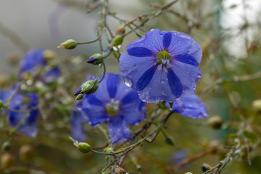 Similar image 21120402