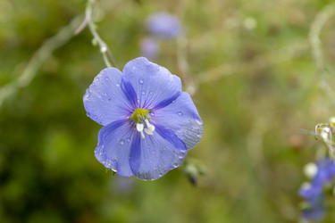 Similar image 21120403