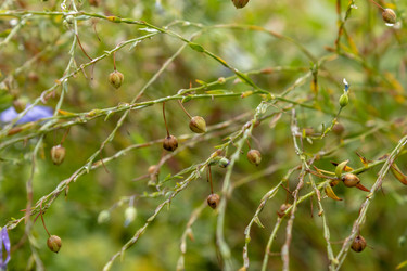 Similar image 21120405