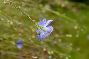 Similar image 21120406