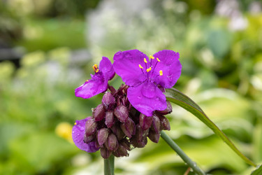 Similar image 21120407