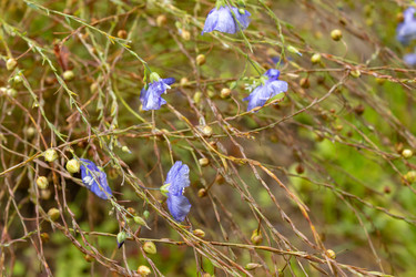 Similar image 21120410