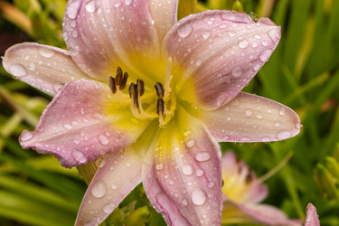 Similar image 21120411