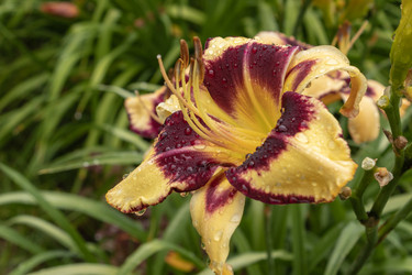 Similar image 21120412