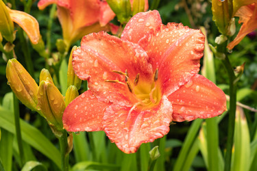 Similar image 21120413