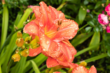 Similar image 21120415