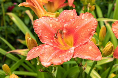 Similar image 21120416