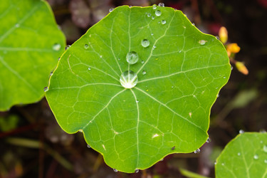 Similar image 21120419