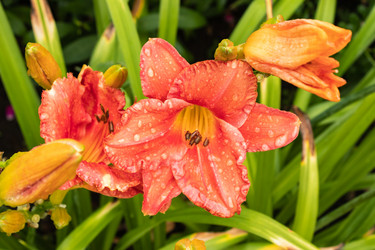 Similar image 21120420