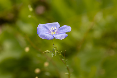 Similar image 21120421