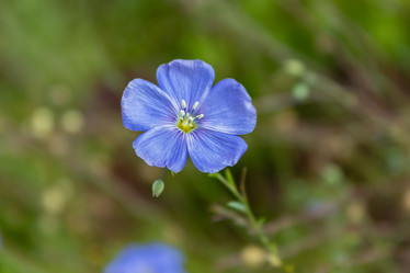 Similar image 21120422